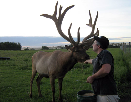 LÃƒÆ’Ã†â€™Ãƒâ€šÃ‚Â¢ÃƒÆ’Ã‚Â¢ÃƒÂ¢Ã¢â€šÂ¬Ã…Â¡Ãƒâ€šÃ‚Â¬ÃƒÆ’Ã‚Â¢ÃƒÂ¢Ã¢â€šÂ¬Ã…Â¾Ãƒâ€šÃ‚Â¢Alberta Wapiti Products Co-op (AWAPCO) est une coopÃƒÆ’Ã†â€™Ãƒâ€ Ã¢â‚¬â„¢ÃƒÆ’Ã¢â‚¬Å¡Ãƒâ€šÃ‚Â©rative de producteurs installÃƒÆ’Ã†â€™Ãƒâ€ Ã¢â‚¬â„¢ÃƒÆ’Ã¢â‚¬Å¡Ãƒâ€šÃ‚Â©e ÃƒÆ’Ã†â€™Ãƒâ€ Ã¢â‚¬â„¢ÃƒÆ’Ã¢â‚¬Å¡Ãƒâ€š  Leduc, en Alberta, au Canada.